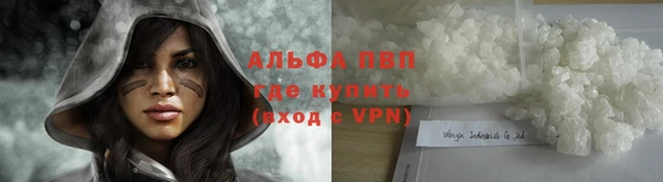 винт Арсеньев