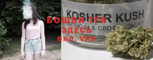 винт Арсеньев