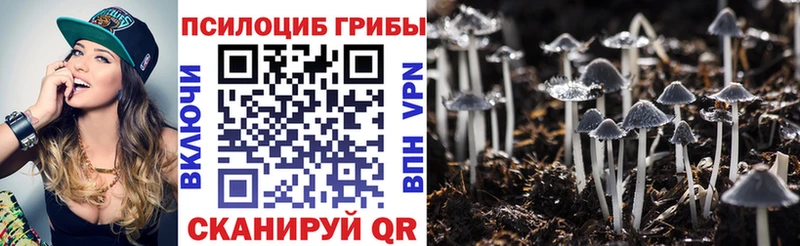 OMG   Сухой Лог  Галлюциногенные грибы Cubensis 